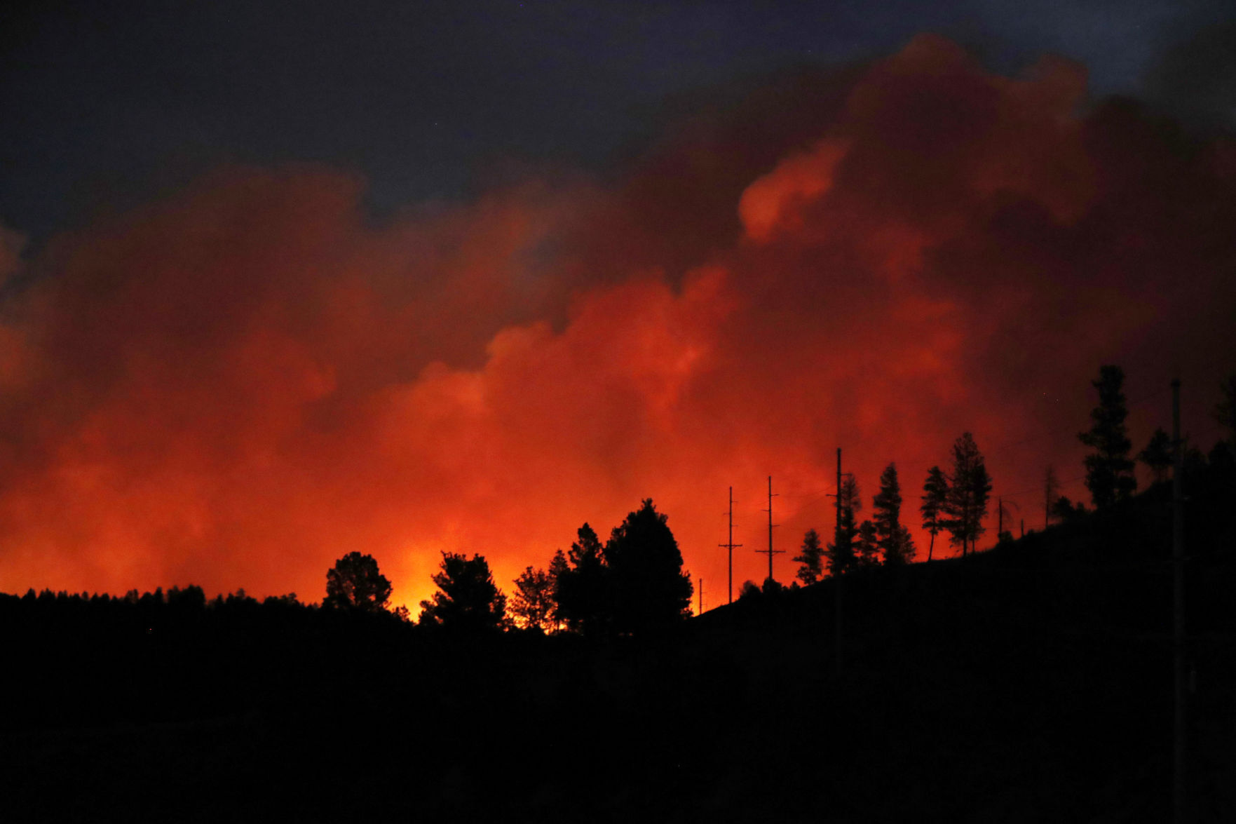 Roundup Fire